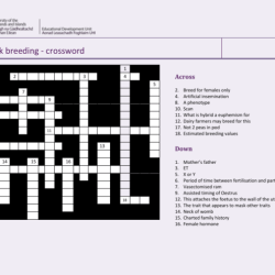 Livestock terminology crossword answer key