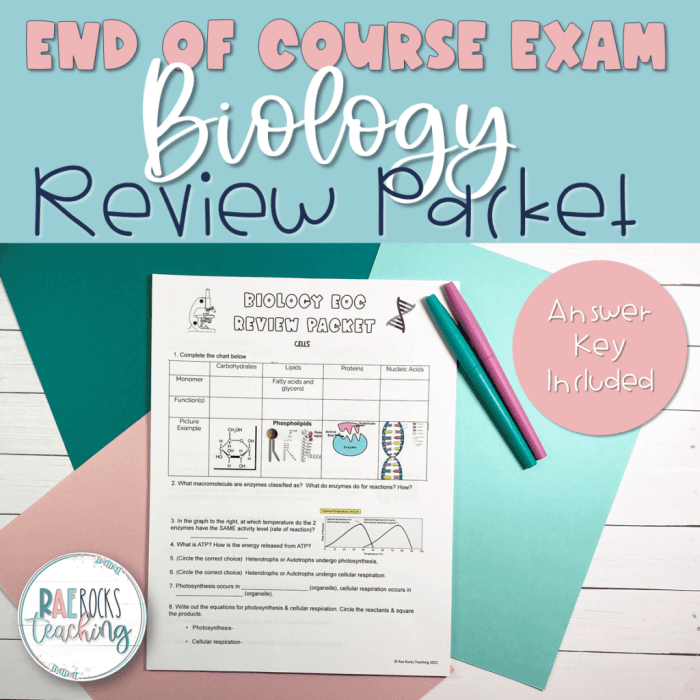 Biology sol review packet answer key pdf