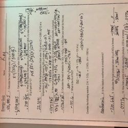 Chapter 17 thermochemistry answer key