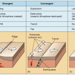 Plate worksheet tectonics answers boundary theory key answer lab study guide diagram main understanding label name doc studylib